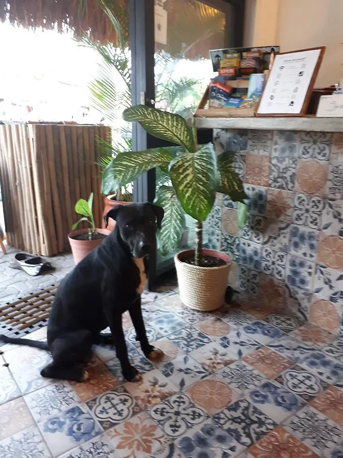 Hotel Naay Bej Tulum